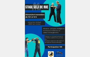 Stage Self de Rue 6 novembre 2022