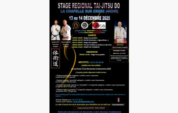 Stage Taï Jitsu Do La Chapelle Sur Erdre 13 et 14 décembre 2025