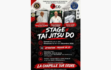 Stage Taï Jitsu Do La Chapelle sur Erdre 12 et 13 décembre 2026